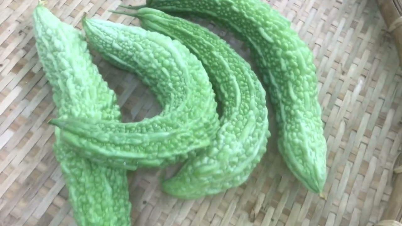 Khổ qua ngâm chua ngọt#khoqua@sunnyngosgarden4393