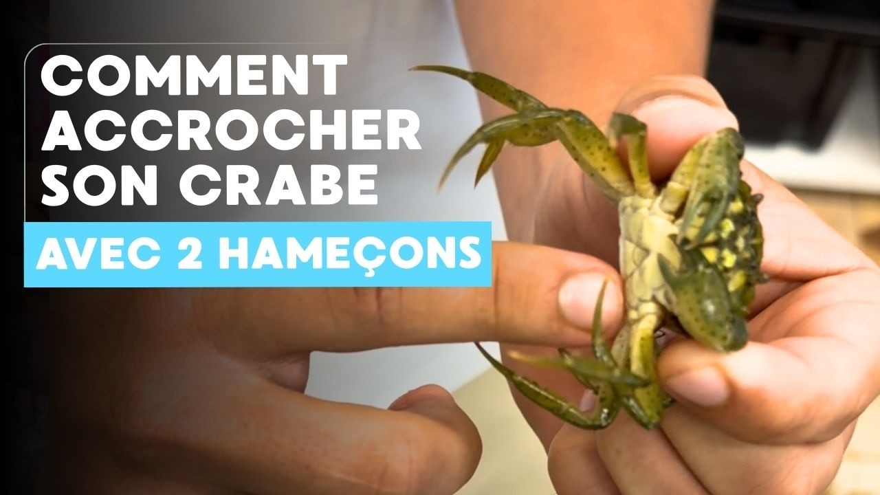 Mała sztuczka na złowienie kraba 🦀