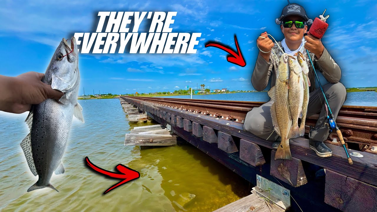 Bridge Fishing for SPECKLED TROUT!! They Are Everywhere….