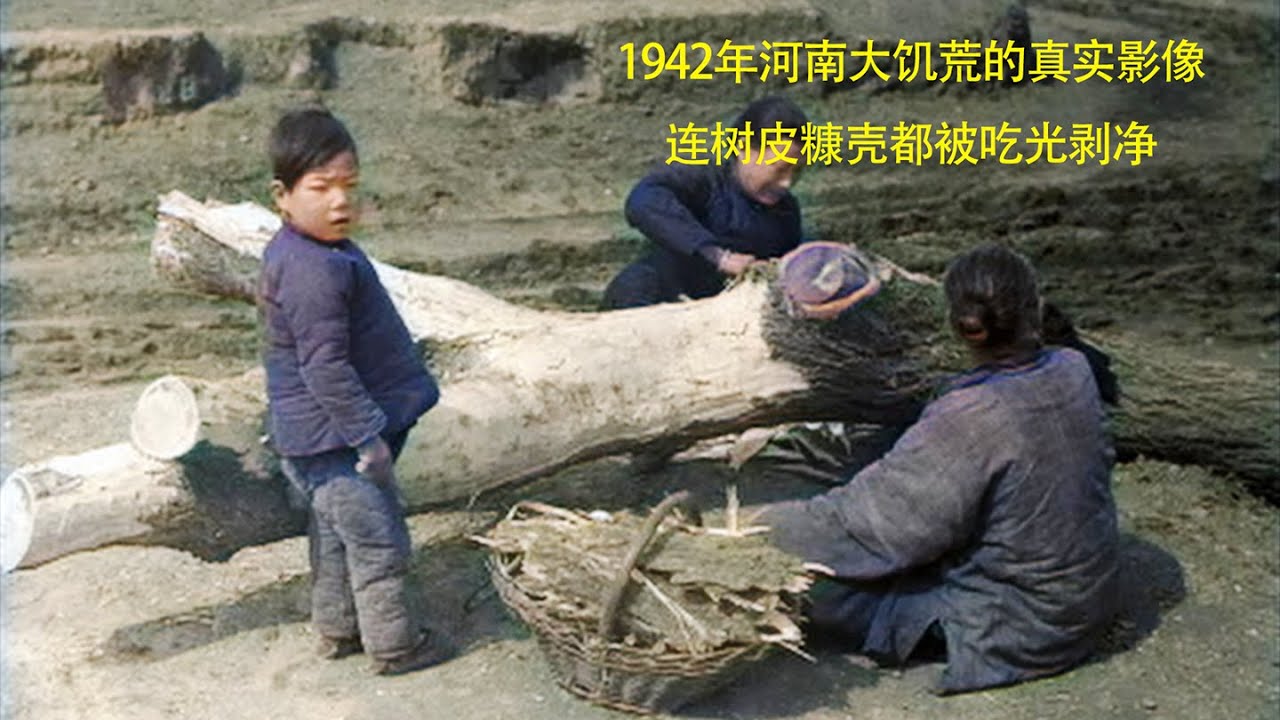 1942年河南大饥荒的真实纪录片，连树皮糠壳都被吃光剥净