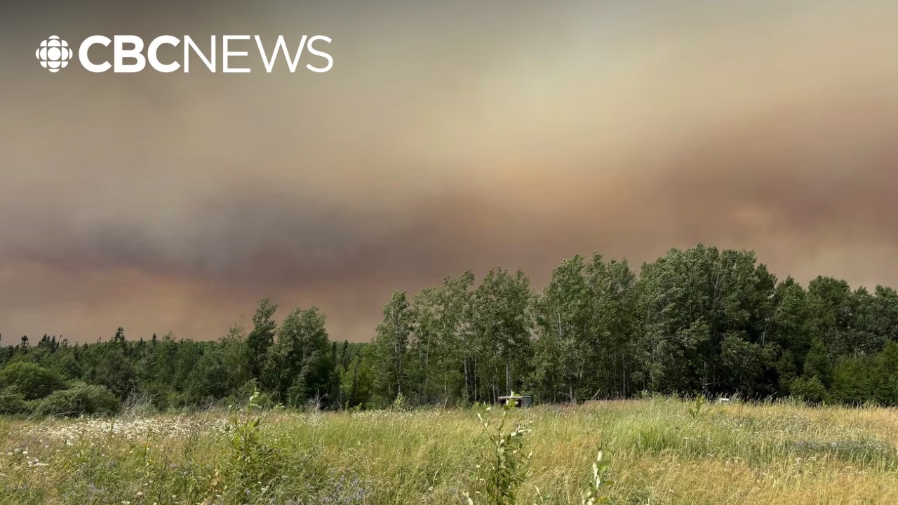 Ontario's firefighting system 'falling apart' from mismanagement: union representative