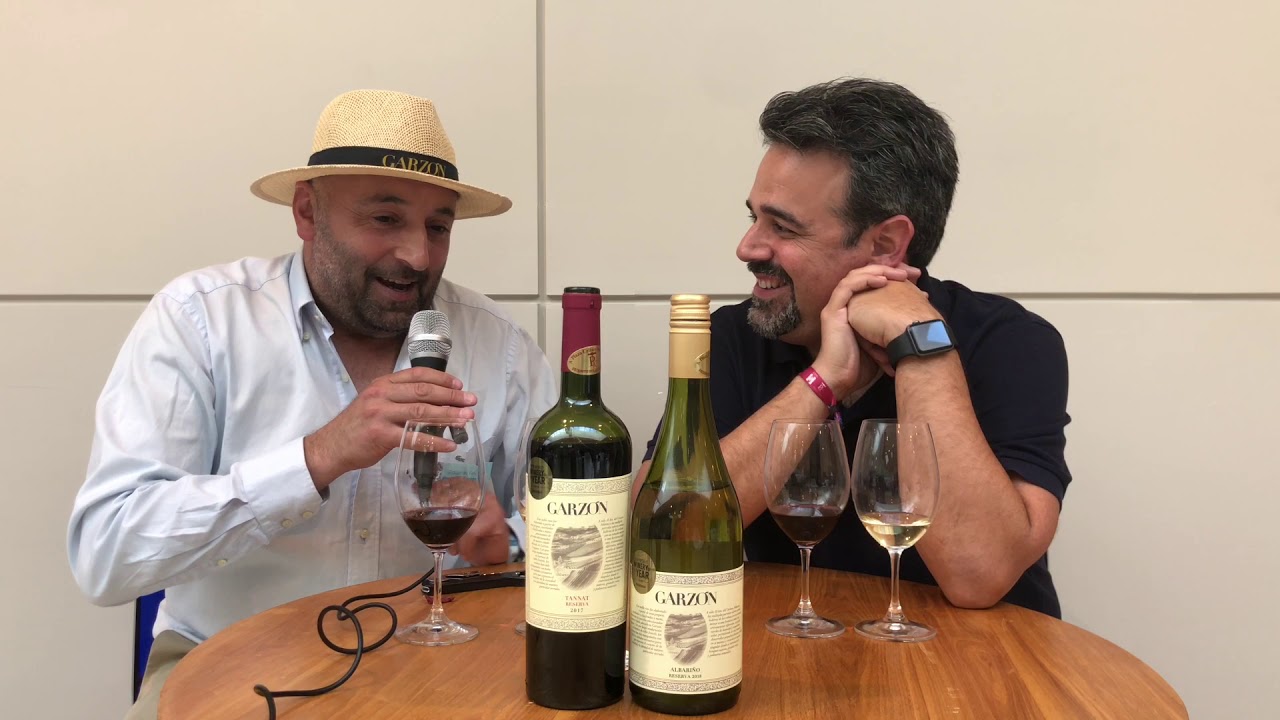 Bodegas Garzón prueba que Uruguay puede competir con los mejores vinos del mundo