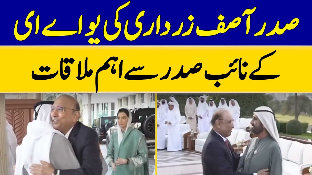 President Asif Zardari Holds Important Meeting with UAE Vice President | Dawn News