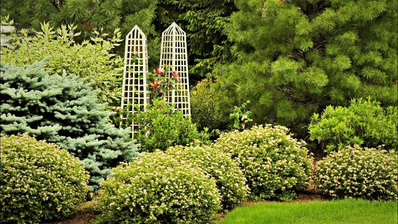 Оригинальные идеи для комфортного и уютного сада / Ideas for a comfortable garden