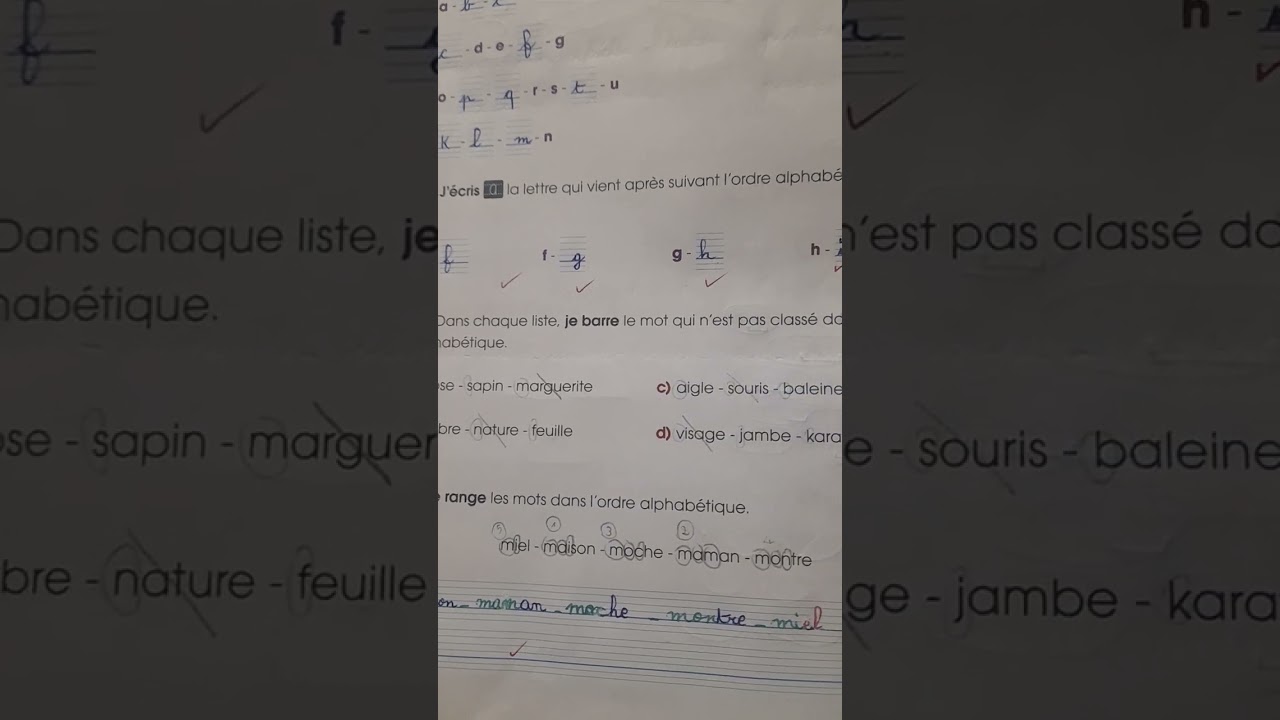 Nénuphar cahier d'exercices vocabulaire page 24