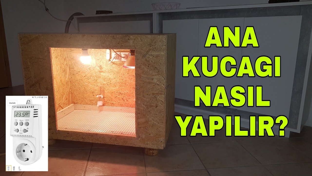 Civciv Bakim ünitesi, Civciv Ana Kucagi Nasil Yapilir? Civciv Büyütme Kafesi Yapimi