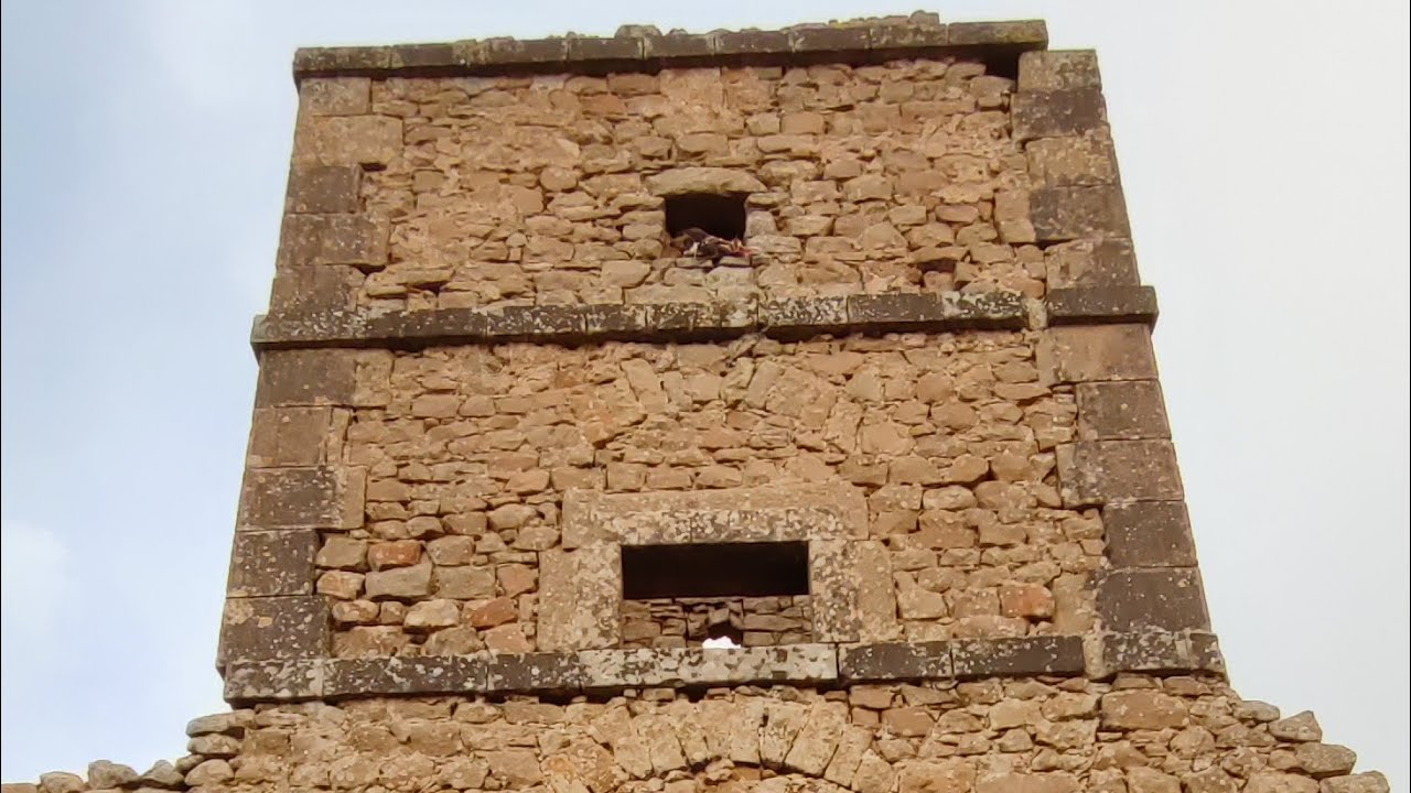 #قريةالمسمومة