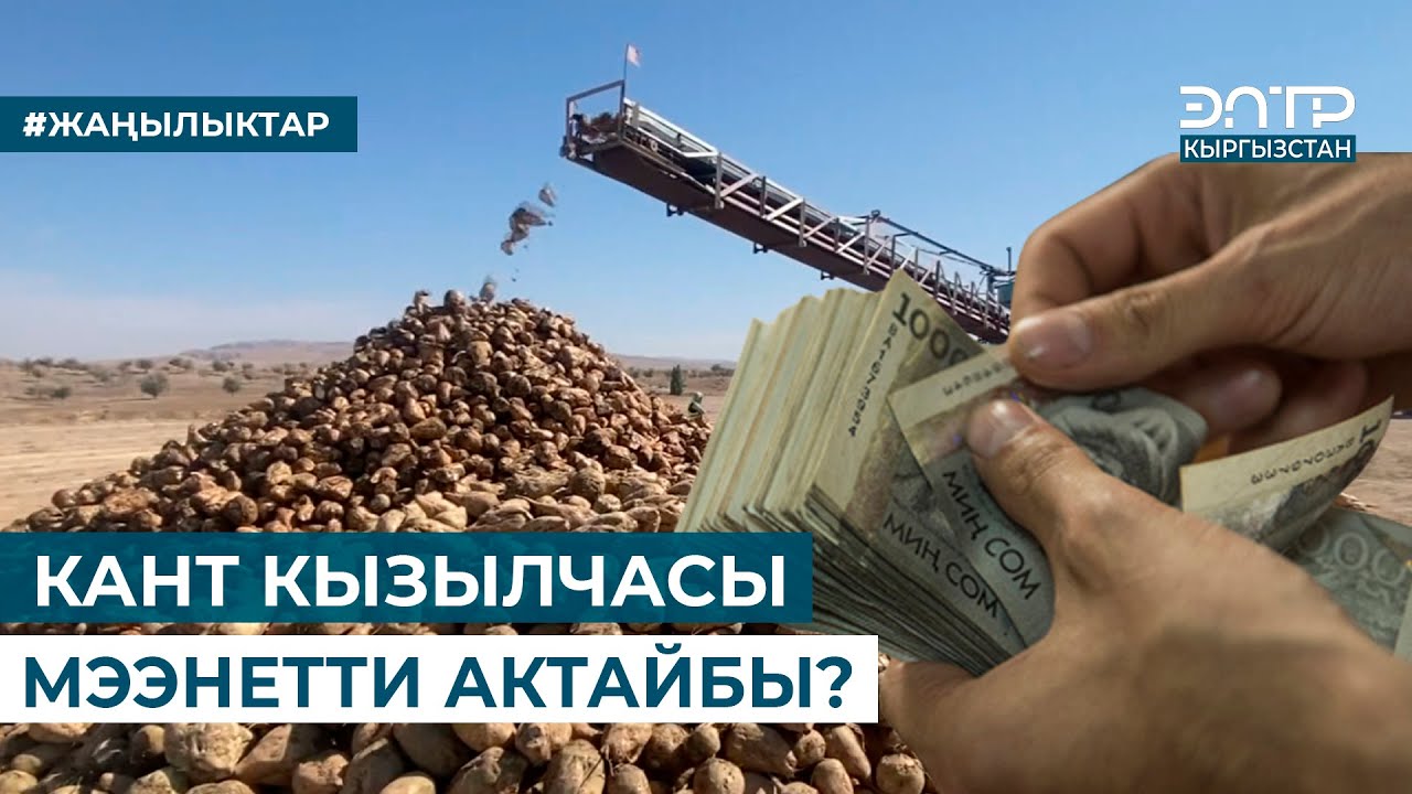 КАНТ КЫЗЫЛЧАСЫ МЭЭНЕТТИ АКТАЙБЫ?