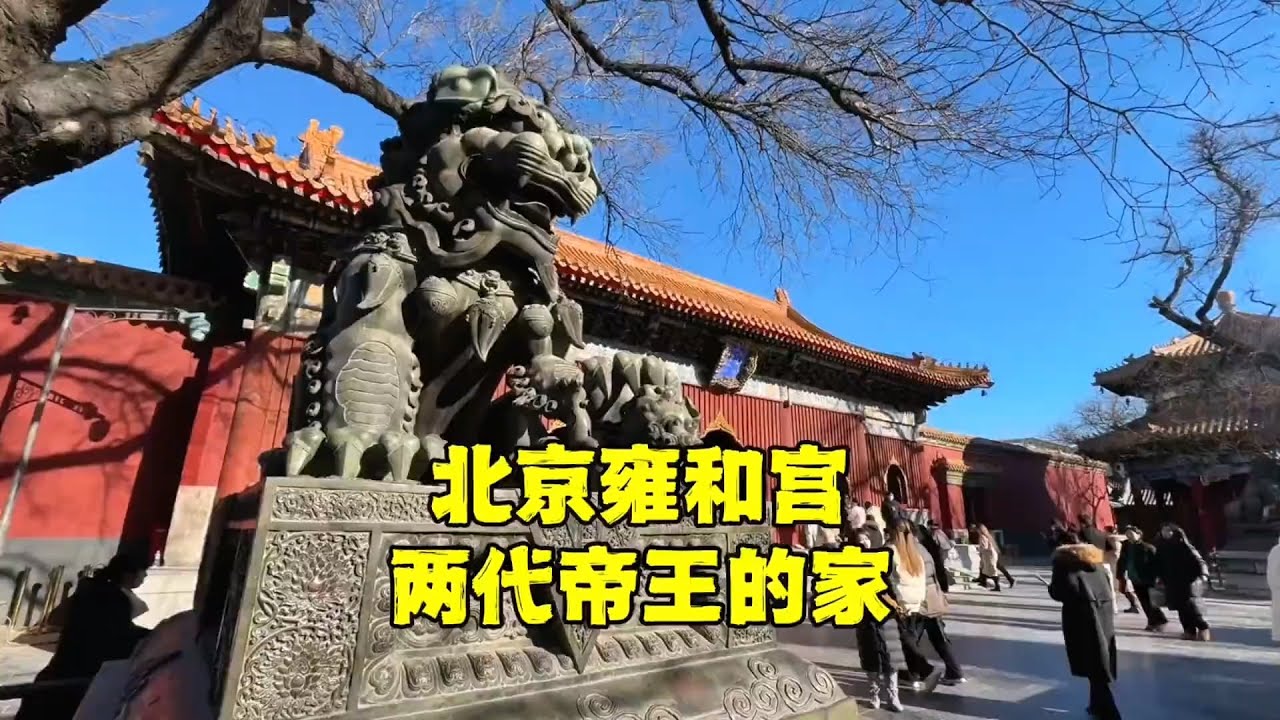 腊八节！北京雍和宫免费喝粥，两代帝王家到底有何秘密？！【北京旅游等着瞧】 #胡同  #故宫 #雍和宫 #皇帝 #秘史趣闻 #历史 #vlog
