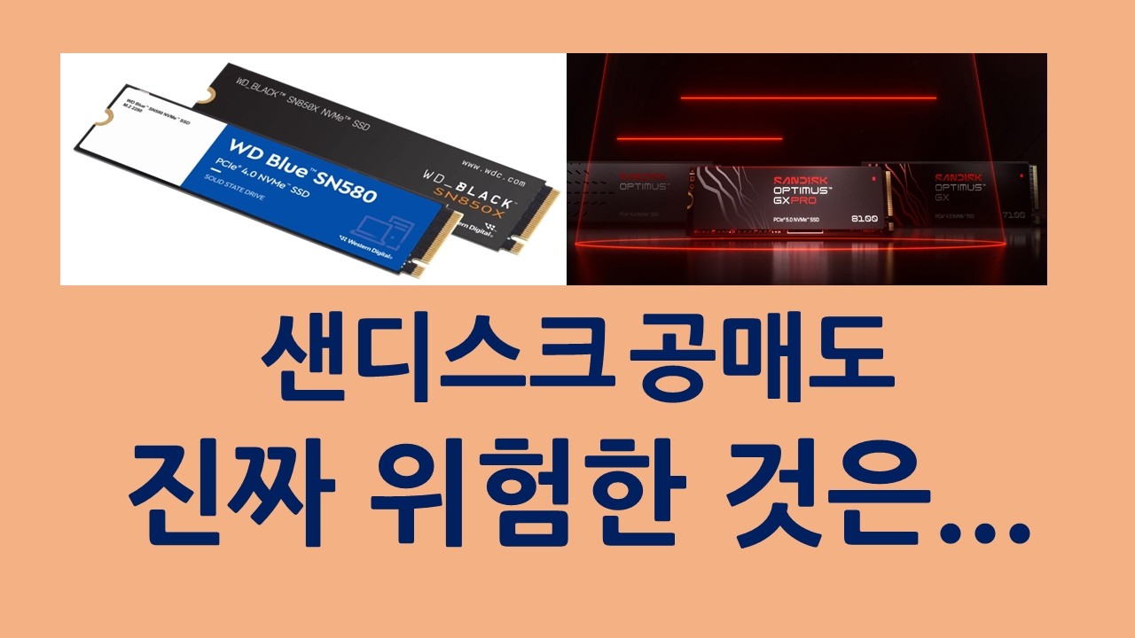 샌디스크 공매도, 진짜 위험은 무엇인가