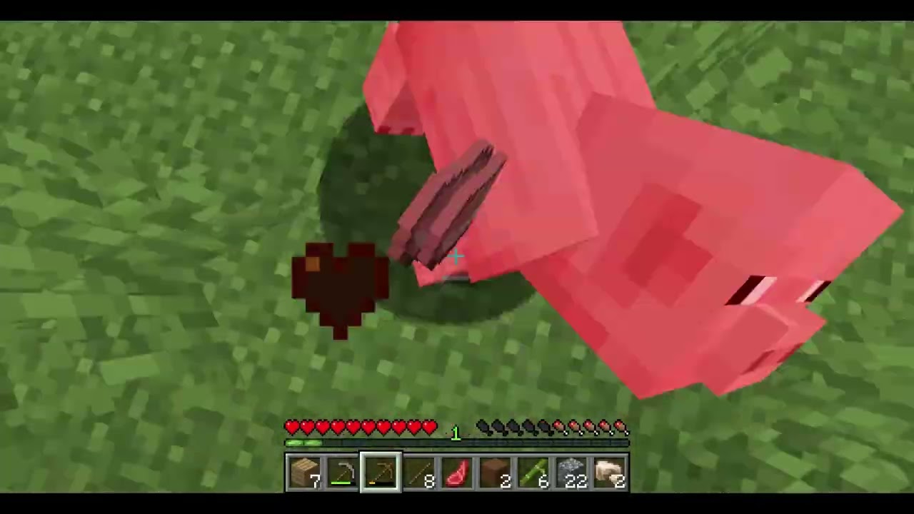 První video