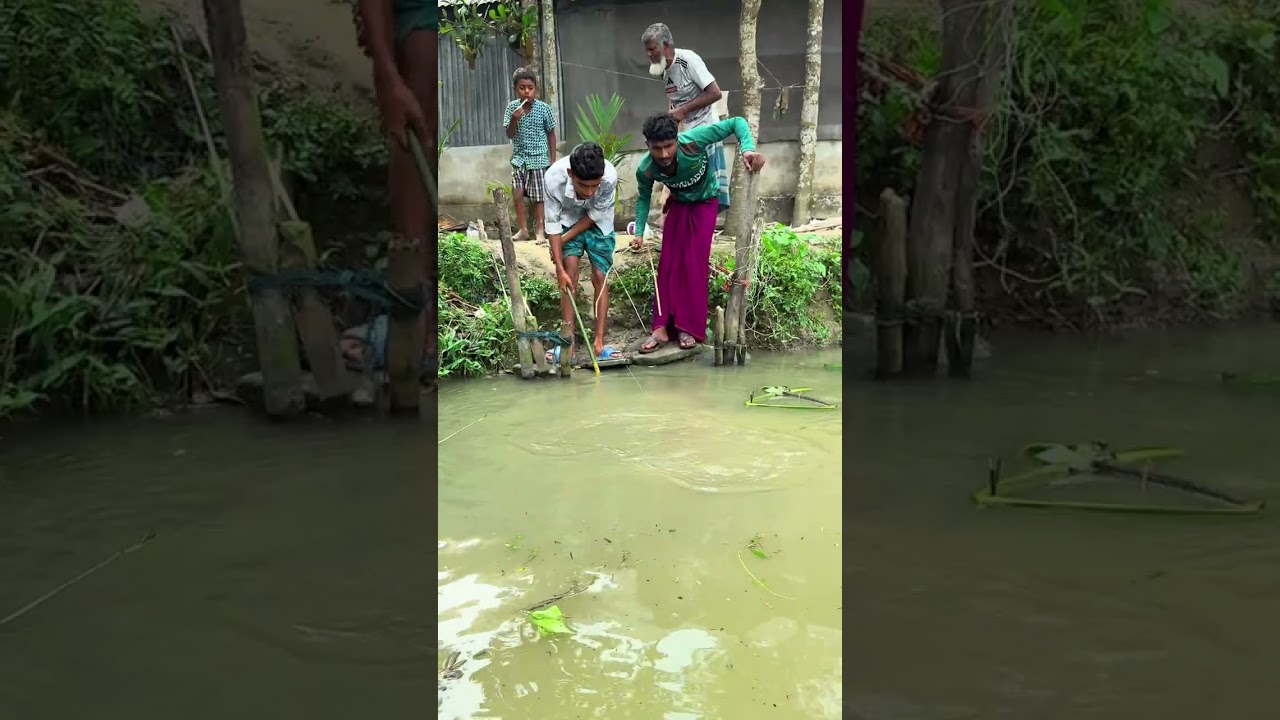 Catching fish. 