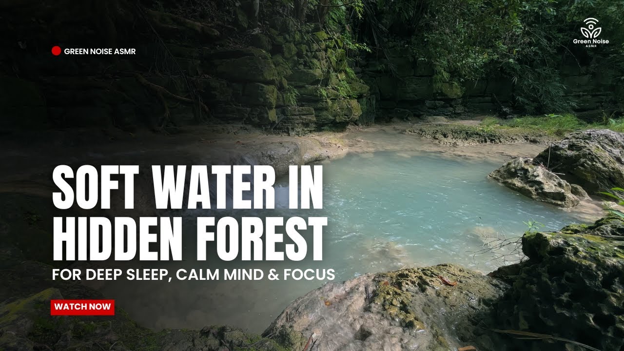 Soft Water Pool in Hidden Forest 💧 Green Noise for Deep Sleep, Calm Mind & Focus