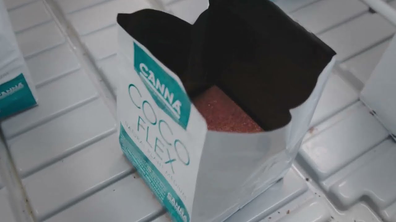 Optimizing your Garden with CANNA COCO FLEX