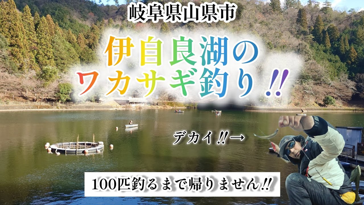 伊自良湖のワカサギ釣り‼️100匹釣るまで帰りません‼️2025年12月22日