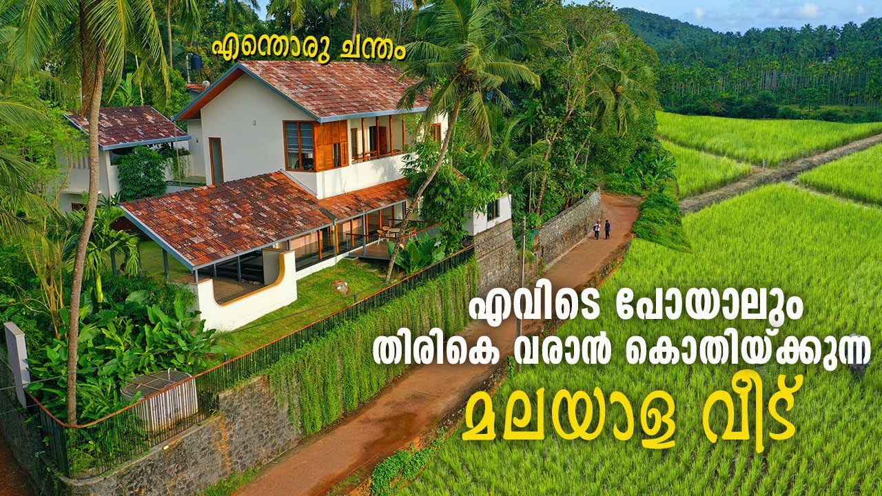 അസൂയ തോന്നിയില്ലെങ്കിലേ ഉള്ളൂ 😍 പാടവരമ്പത്തെ മനോഹരമായ മലയാളി വീട്| Beautiful Home |Come on everybody