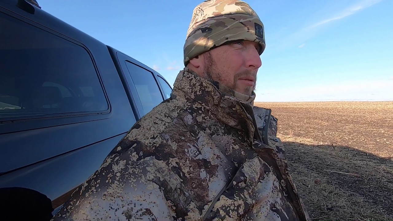 Boykin Spaniel Puppies First Hunt With His New Vest