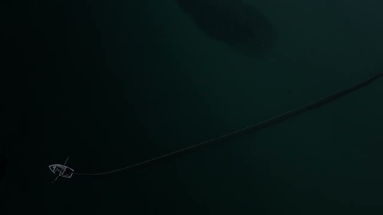 Beach seining salmon