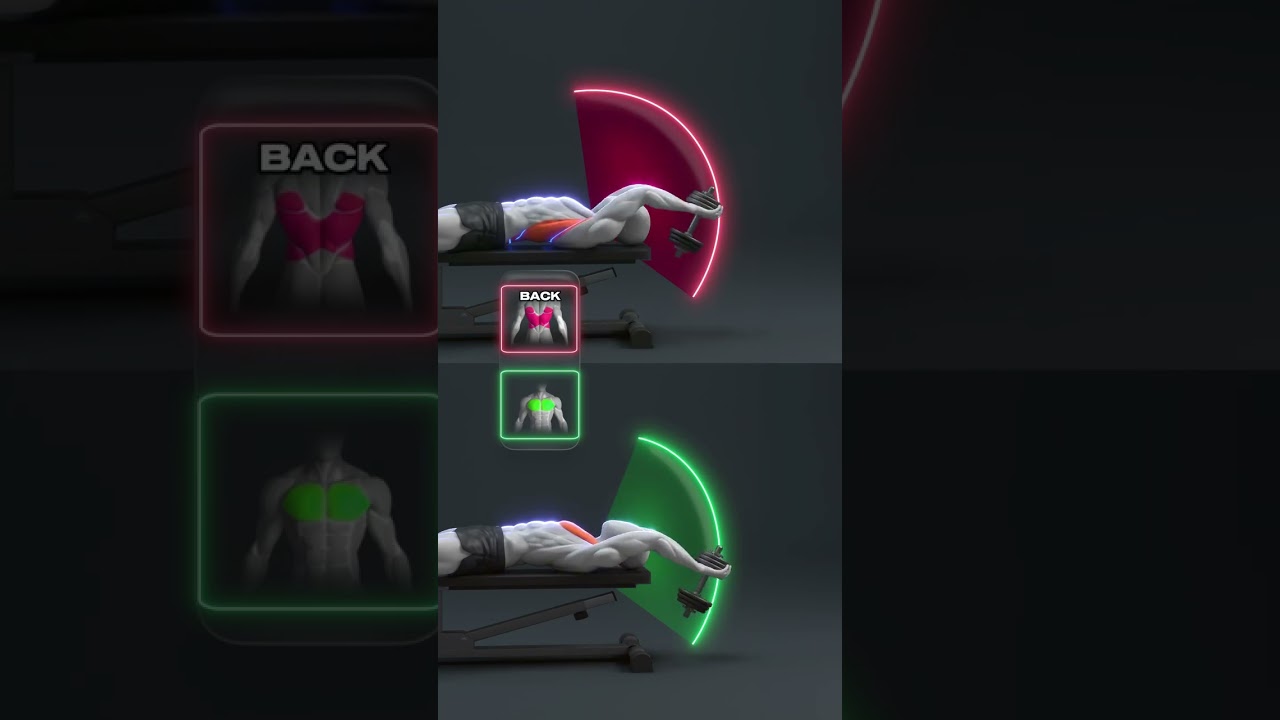 💪 Dumbbell Pullover: Chest or Back? Know the Difference!