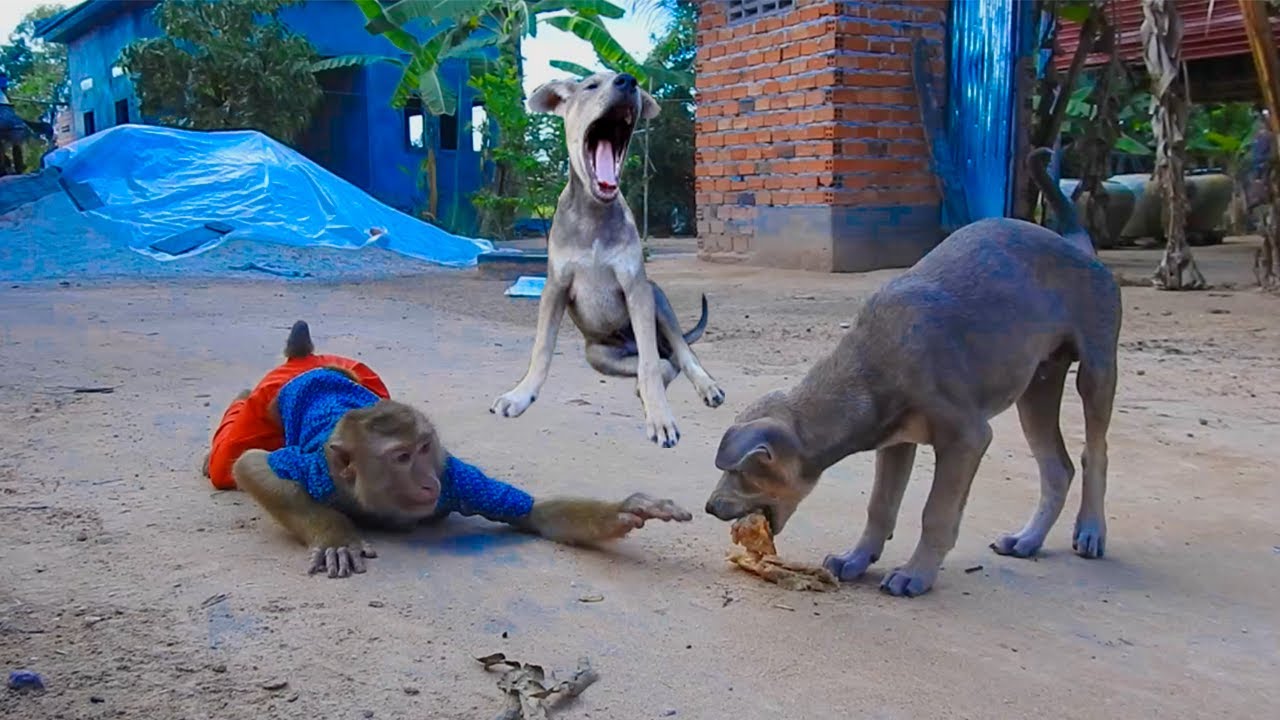 Argue Seriously Cos Eating, Why Become Like This ?