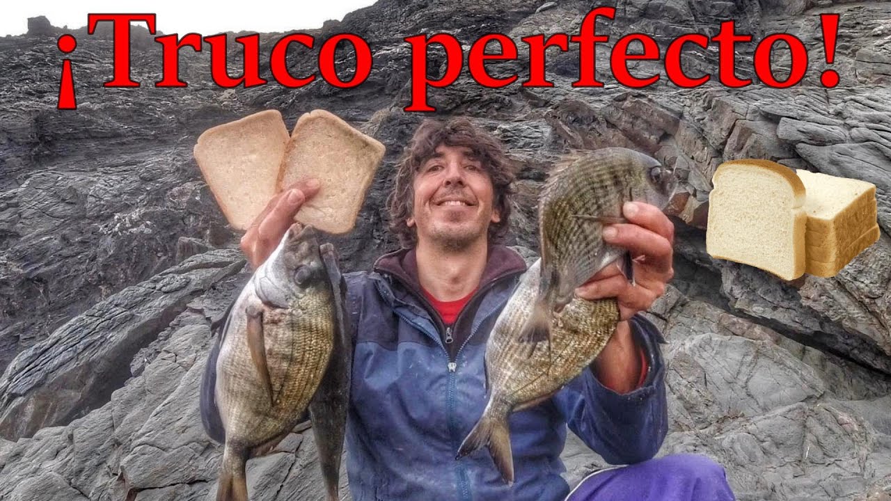 Pesca con pan bimbo. Hoy si funciona el truco.