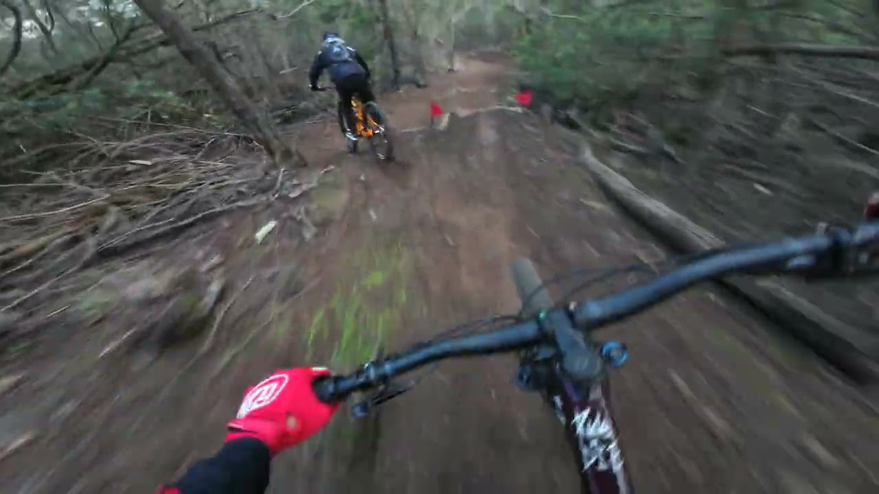 MTB TRAIL 
