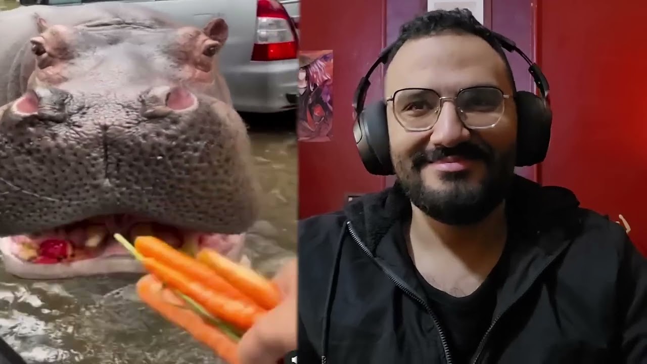 اکثر میمز مضحكة على الانترنت😂 (نسخةجروب العائلة😂)