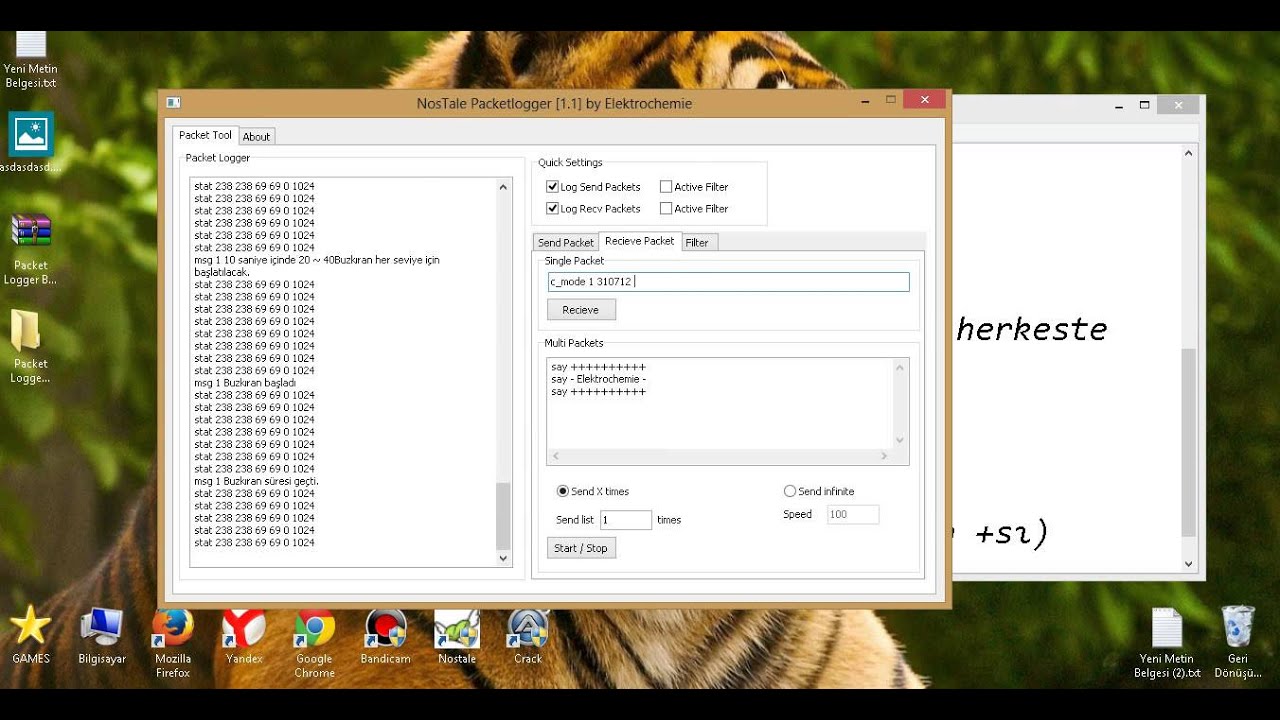 Nostale Packet Logger.