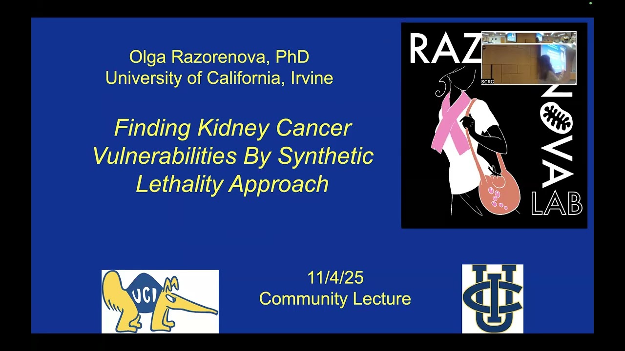 Finding Kidney Cancer Vulnerabilities By Syntenic Lethality Approach