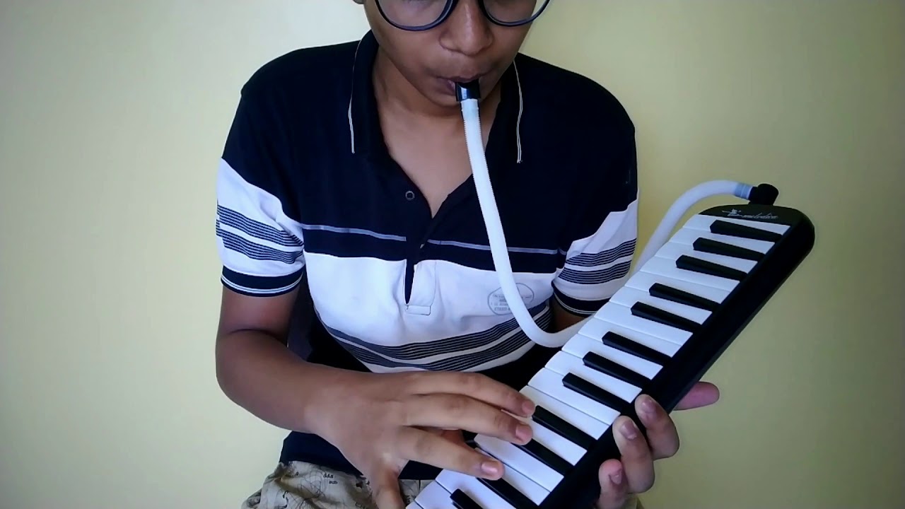 Hai Apna Dil To Awara on Melodica | Instrumental Old Hindi Song