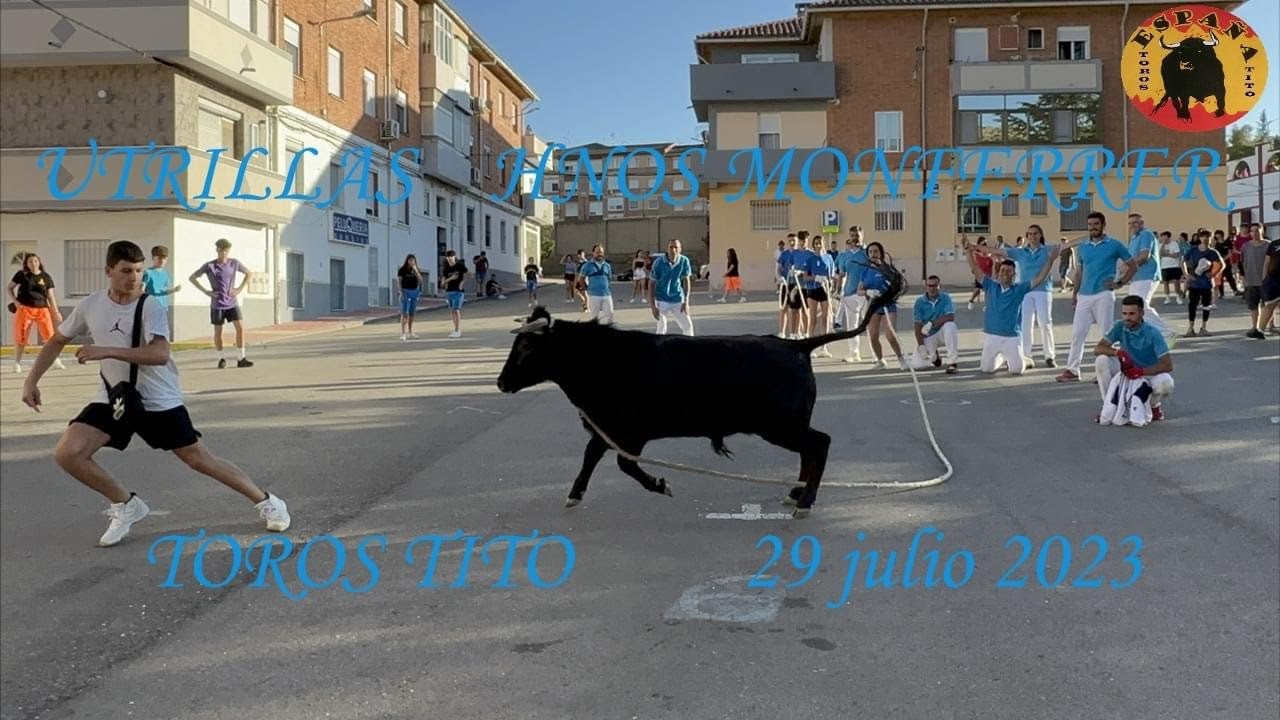 Becerra y toro ensogados en Utrillas 29 julio 2023  4K