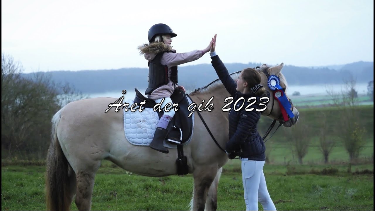 Året der gik 2022