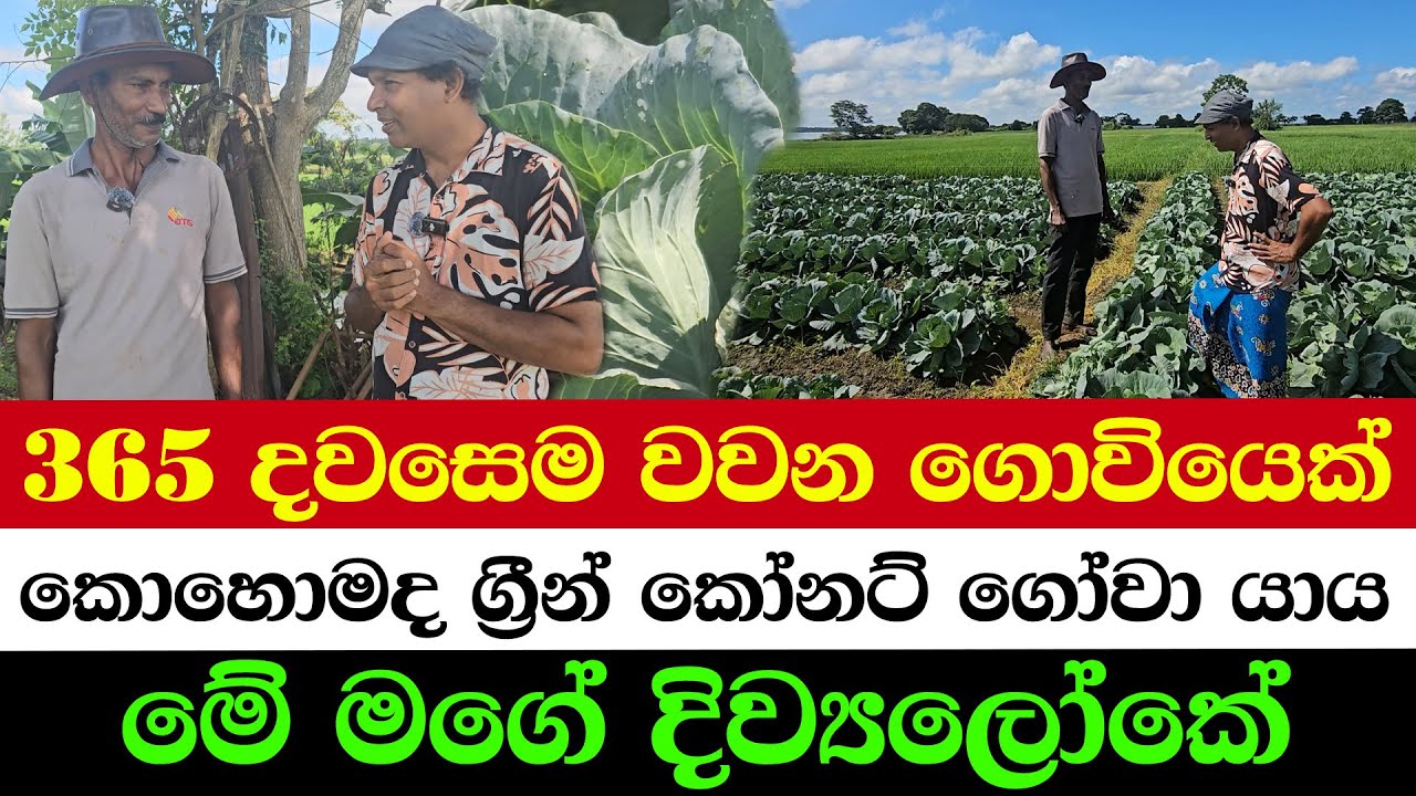 Farming 365 Days a YearReady for Any Challenge