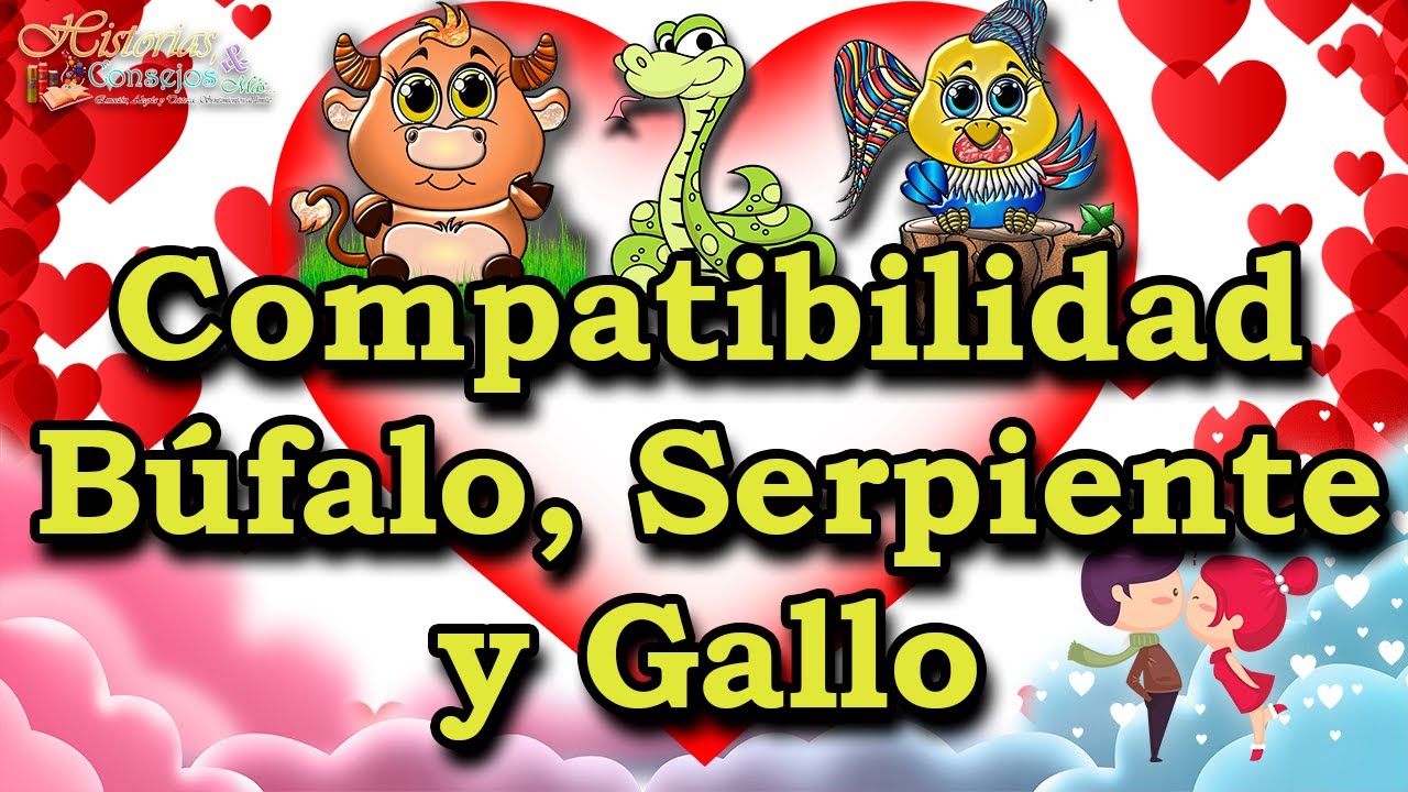 Afinidad Romántica  Búfalo  Serpiente y Gallo con Todos los Signos de la Astrología China