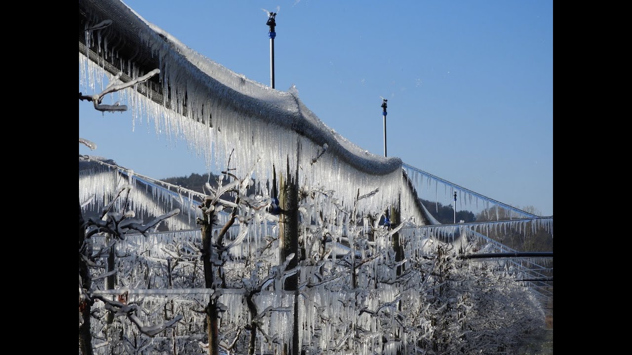 Xcel Wobbler Frost Irrigation
