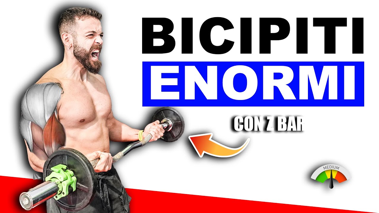 BICIPITI DI MARMO CON LA Z BAR - scheda completa