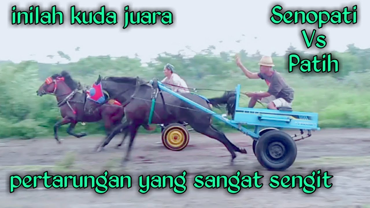 balap kuda seru!! yang mempertemukan patih dengan musuh bebuyutannya senopati, terjadi saling tempel