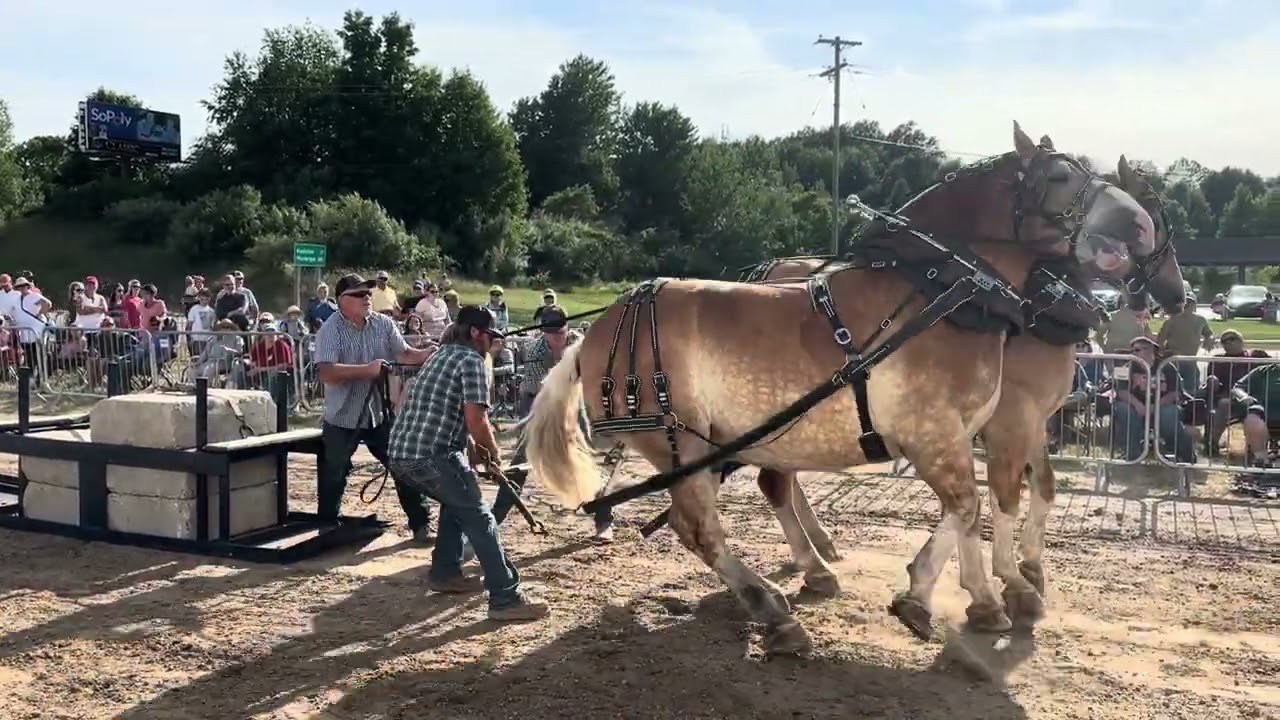 bear lake horse pulls 2023