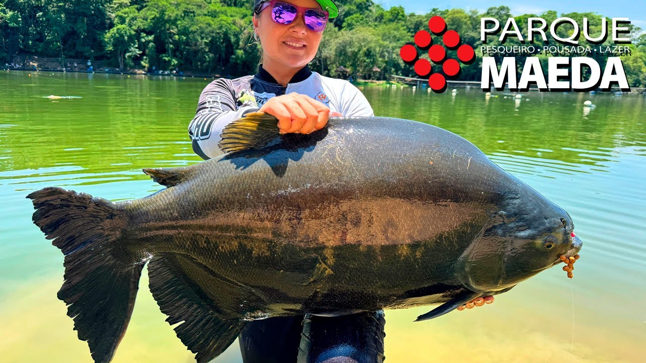 O PONTO DE PESCA MAIS COBIÇADO DO TANCÃO MAEDA!