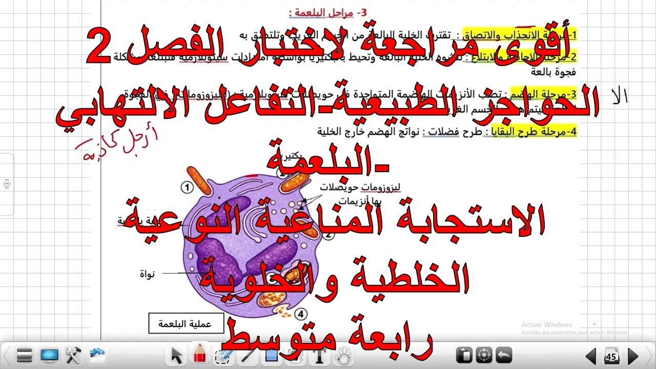 أقوى مراجعة لاختبار الفصل الثاني علوم طبيعيةالرابعة متوسط ملخص الخط الدفاعي الأول والثاني والثالث