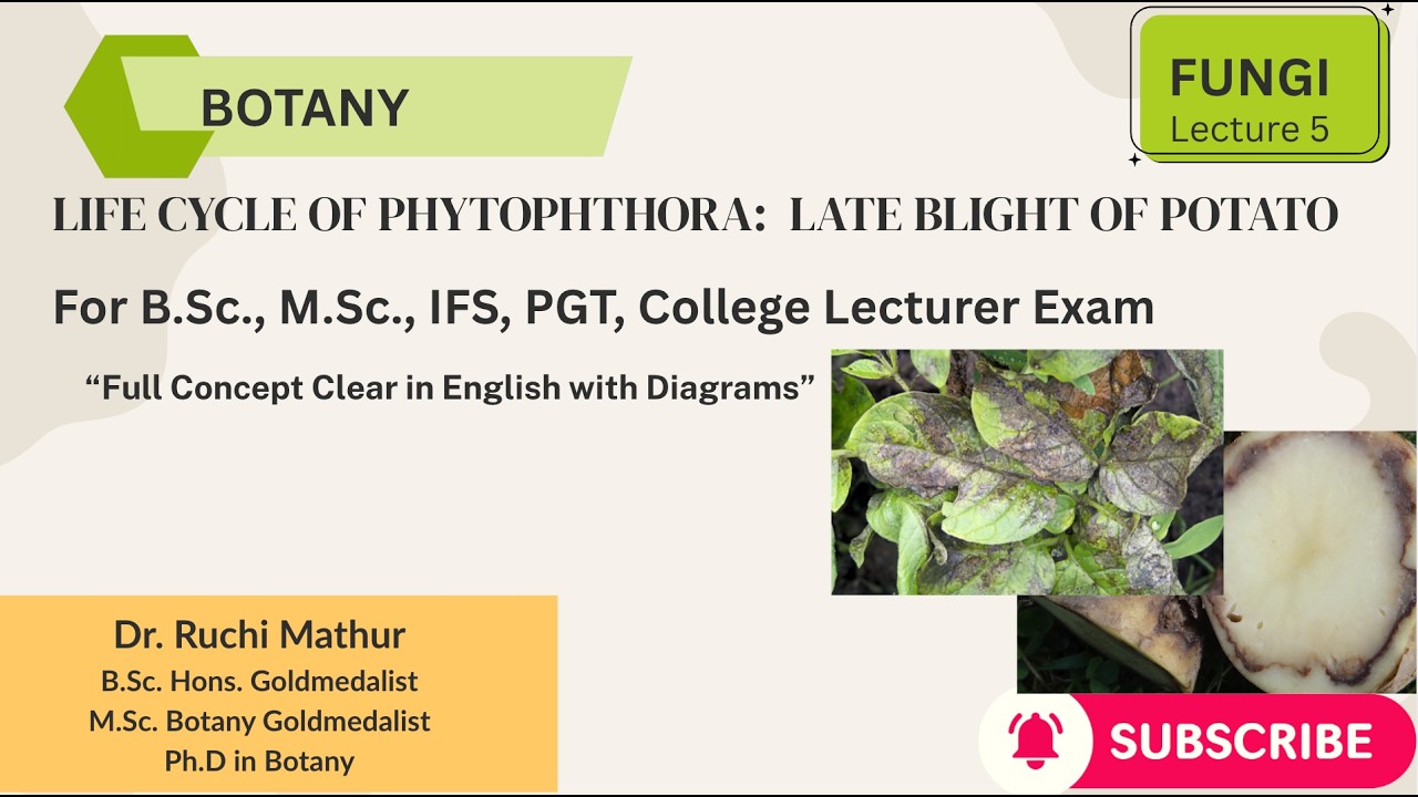 Phytophthora Life Cycle: Late Blight of Potato //Fungi // B. Sc. & M. Sc. Botany (English )