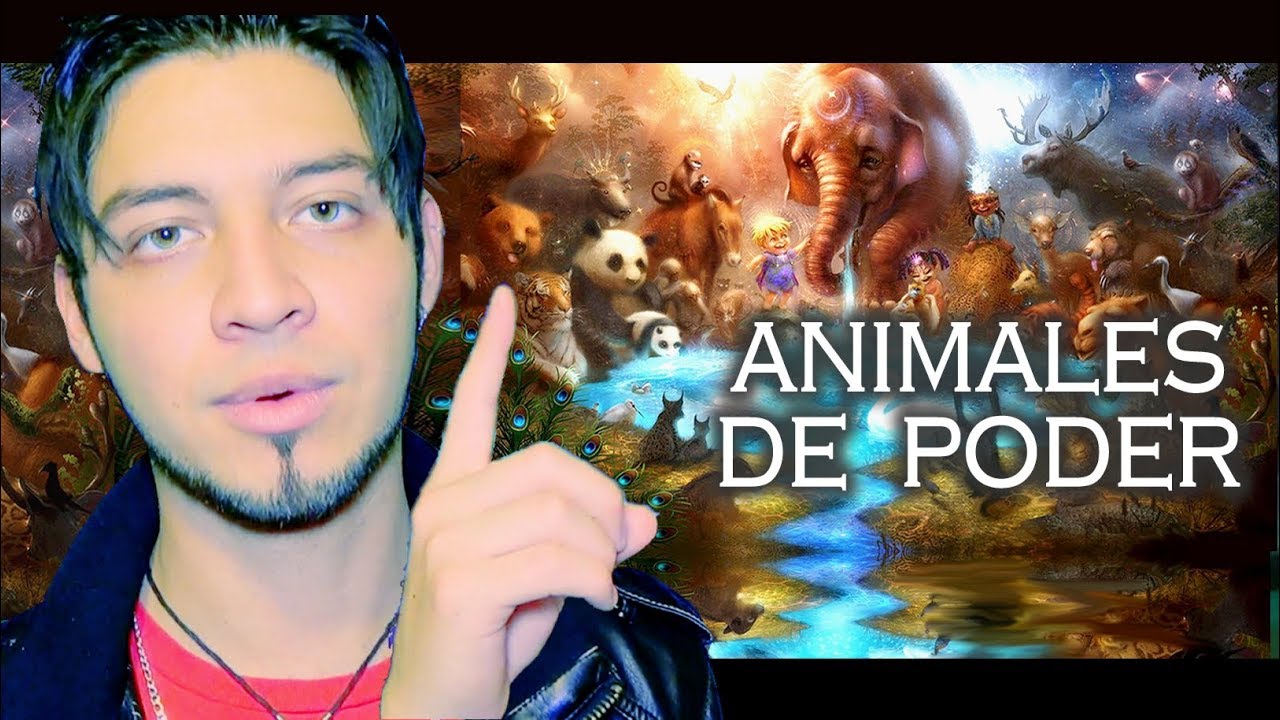 ANIMALES DE PODER y c&oacute;mo llegan a ti