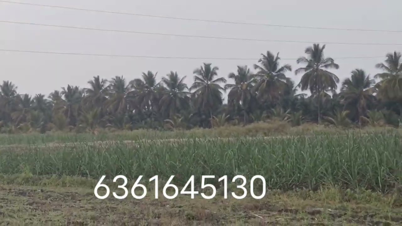 ID..154..9731865069..6361645130