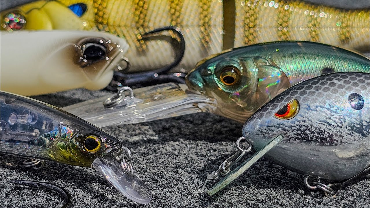 Top 5 Baits For October Bass Fishing!