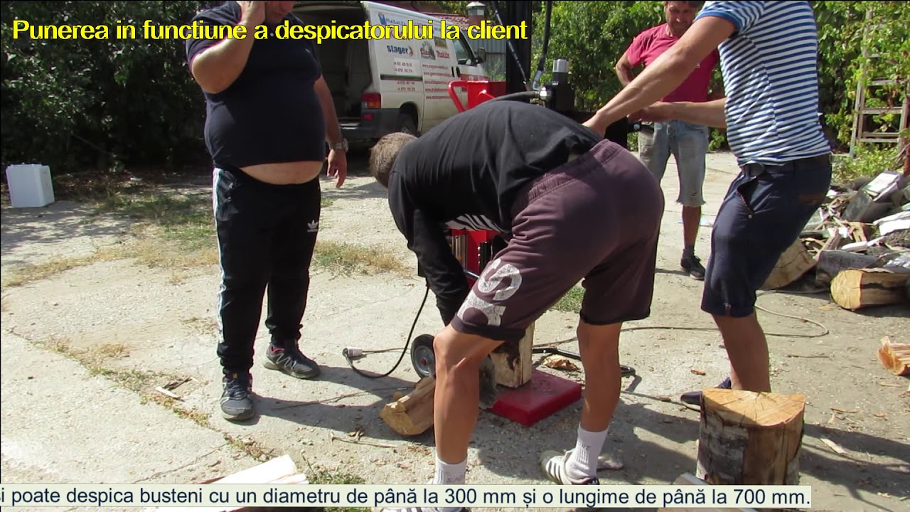 Despicatorul Hecht 6110