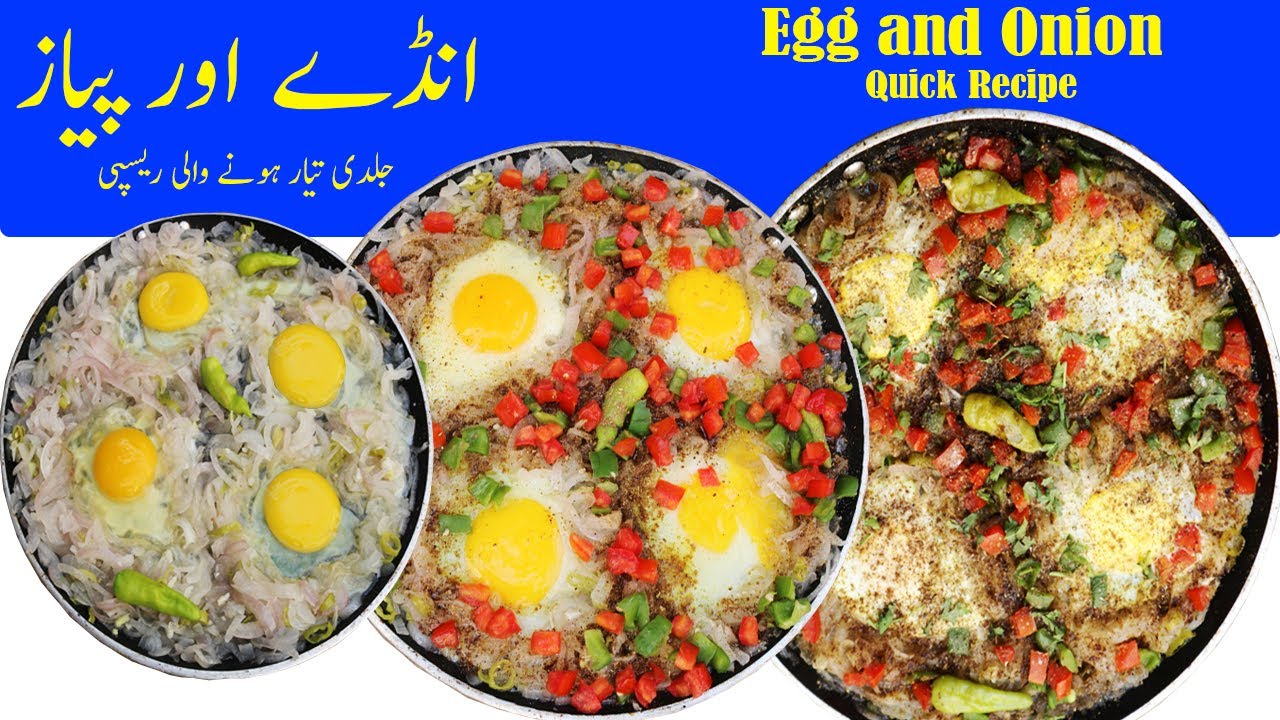 Egg and Onion quick desi recipe | Egg and onion break fast recipe | egg omelet desi recipe | Gulzar