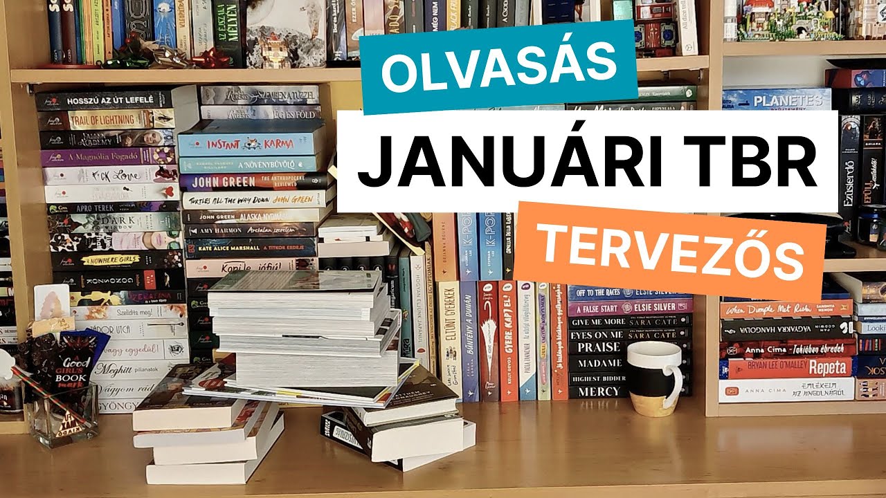 Hoztam is, meg nem is, volt is, nincs is 🦝 2026 Január TBR