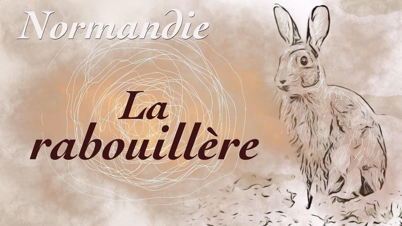 La rabouillère du lapin de garenne