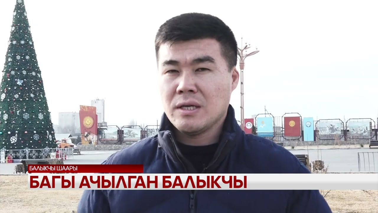Багы ачылган Балыкчы