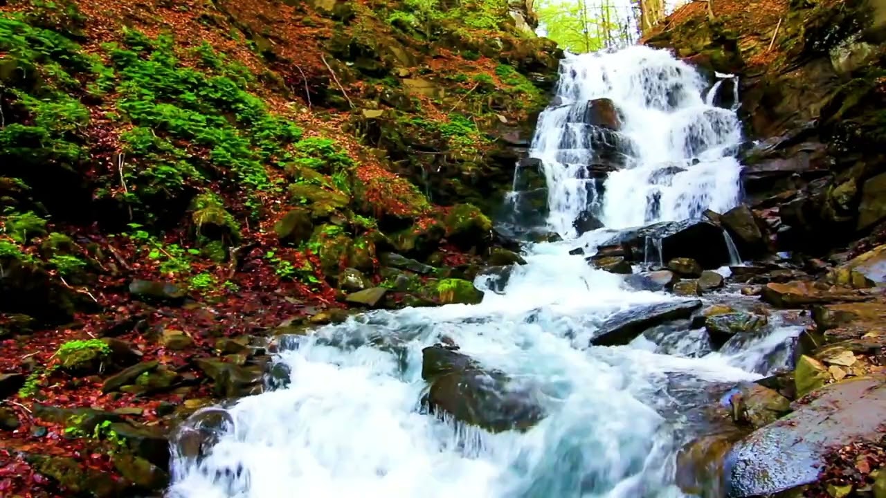 Waterfall Sounds for Deep Sleep & Insomnia Relief | Relaxing White Noise for Stress Relief